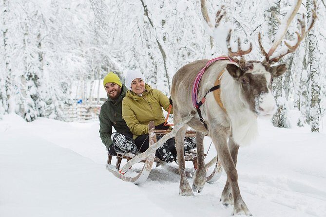 Lapland Reindeer Safari from Rovaniemi - FAQs