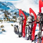 Lapland Winter Experience - Who Is This Tour Best For?