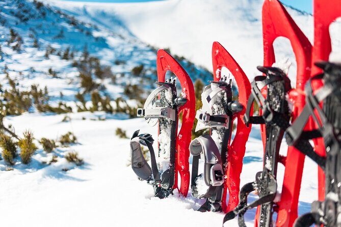 Lapland Winter Experience - Who Is This Tour Best For?