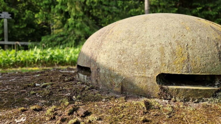 Lappeenranta: Salpalinja Defense Line WW2 Bunker Tour - Walking Through Trench Networks and Tank Obstacles