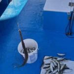 Larnaca: Private Fishing - Traditional Explorer N Vessel - The Itinerary and What to Expect