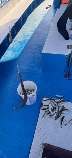 Larnaca: Private Fishing - Traditional Explorer N Vessel - The Itinerary and What to Expect