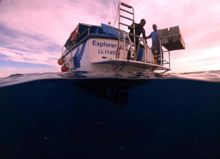 Larnaca: Snorkelling Zenobia Wreck Plus Mini Cruise - Practical Details: Pricing, Duration, and Logistics