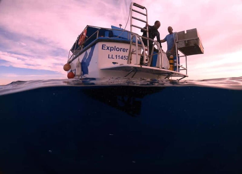 Larnaca: Snorkelling Zenobia Wreck Plus Mini Cruise - Practical Details: Pricing, Duration, and Logistics