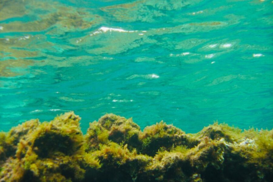 Las Canteras Scuba Diving - The Dive Experience: Detailed Breakdown