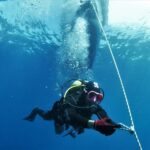 Las Palmas: 2-Day Padi Scuba Diving Course - Why This Tour Is Worth Considering