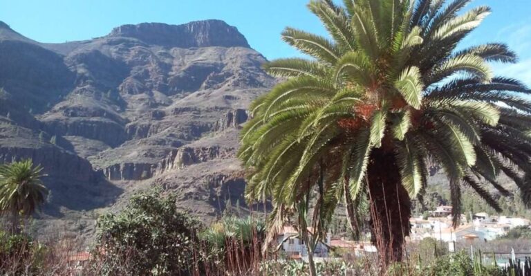 Las Palmas: 8-Hour Gran Canaria Island Highlights Tour - Exploring the Volcano and Villages