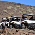 Las Palmas: Gran Canaria Guided Buggy Tour - The Experience: What You Actually Get