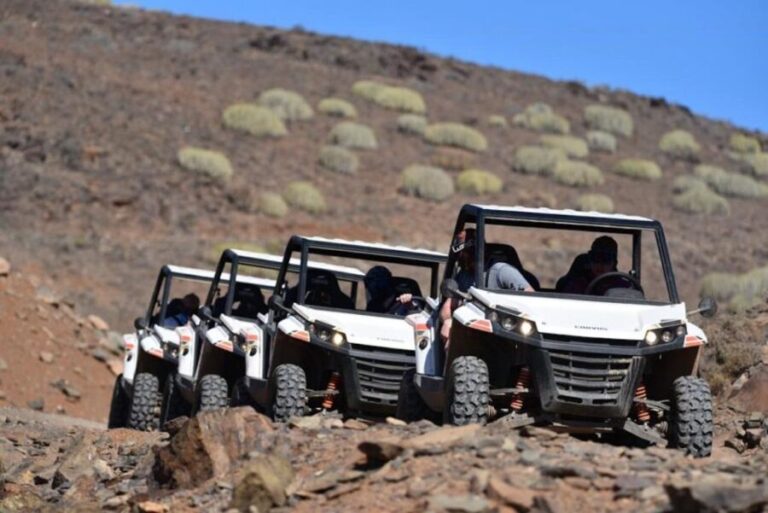 Las Palmas: Gran Canaria Guided Buggy Tour - The Experience: What You Actually Get