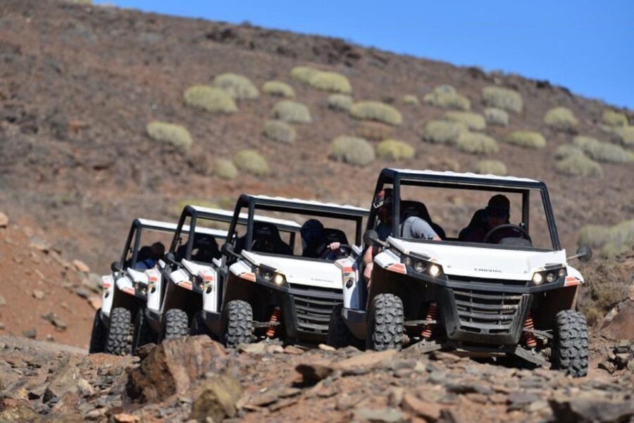 Las Palmas: Gran Canaria Guided Buggy Tour - The Experience: What You Actually Get