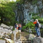 Las Palmas: Privat Botanic Garden Tour & opt. hike Extension - A Deep Dive into the Botanical Garden and the Tour Experience