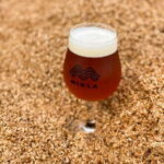 Latvian Brewery Visit & 5 Beer tasting - Why We Think This Tour is Worth It