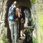 Laurissilva Forest Walk - FAQs