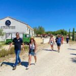 Lavender Field & Distillery Tour between Nimes & Arles - Discovering Provence’s Aromatic Heritage
