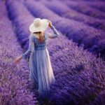 Lavender Fields Full Day Private Tour From Marseille - Authentic Experiences and Details That Matter