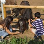 Lazise: Biodynamic Farm Tour and Natural Wine Tasting - Authenticity and Satisfaction: What Travelers Say