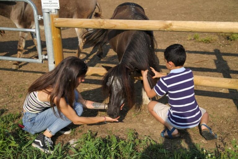 Lazise: Biodynamic Farm Tour and Natural Wine Tasting - Authenticity and Satisfaction: What Travelers Say