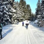 Learn Nordic Skiing - Private Class with Professional Instructor - The Value of This Experience