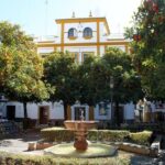 Learn Spanish Seville Santa Cruz Walking Tour - Authenticity and Authentic Experiences