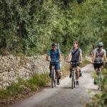 Lecce to Cesine Protected Natural Reserve Full-Day Bike Tour - Final Thoughts