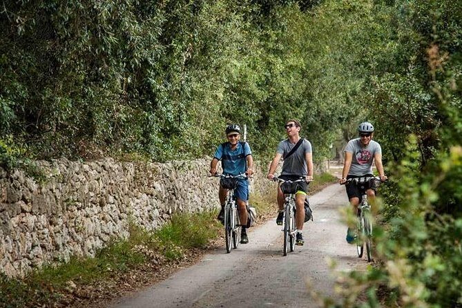 Lecce to Cesine Protected Natural Reserve Full-Day Bike Tour - Final Thoughts