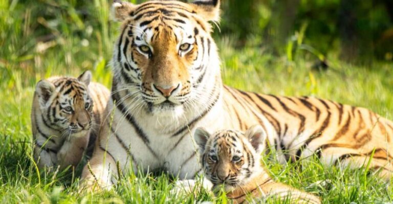 Leewarden: AquaZoo Entry Ticket - An In-Depth Look at What To Expect