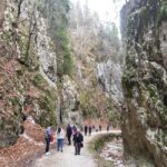 Legendary Transylvania - best version - Why This Tour Offers Great Value