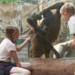 Leipzig Zoo: Entry Ticket - Who Will Love Leipzig Zoo?