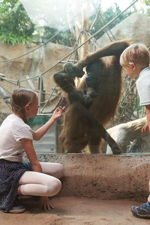 Leipzig Zoo: Entry Ticket - Who Will Love Leipzig Zoo?