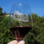 Les Baux de Provence : Wine day Tour : 7 hours - What Makes This Tour Stand Out?