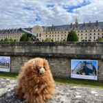 Les Invalides: Museum Ticket Entry & 4h Private Guided Tour - Who Would Love This Tour?