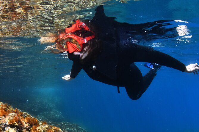 L'Estartit: Snorkeling in the Medes Islands - Authentic Insights from Travelers