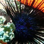 Lets Go Diving with pickup from hotel - What the Equipment Means for You