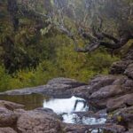 Levada do Alecrim - Rosemary Levada (Full Day Walk) - The Sum Up: Who Should Consider This Tour?