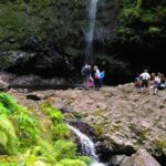Levada do Caldeirão Verde Levada Walk from Funchal - Detailed Breakdown of the Itinerary