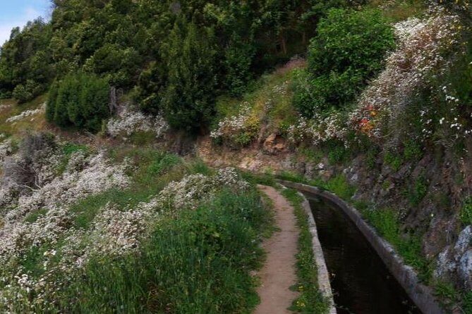 Levada do Norte Quinta Grande Levada walk - What Reviews Say About the Experience