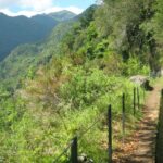 Levada do Rei - Ribeiro Bonito (Full Day Walk) - Who Will Love This Tour?