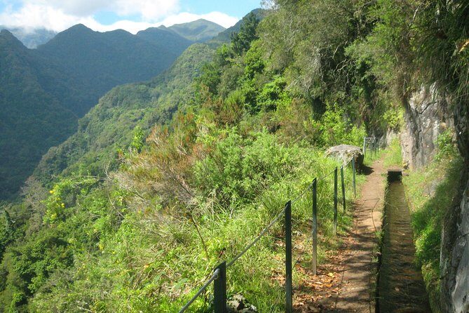 Levada do Rei - Ribeiro Bonito (Full Day Walk) - Who Will Love This Tour?