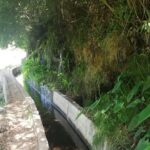 Levada Serra D´Agua - An In-Depth Look at the Levada Serra D’Agua Tour