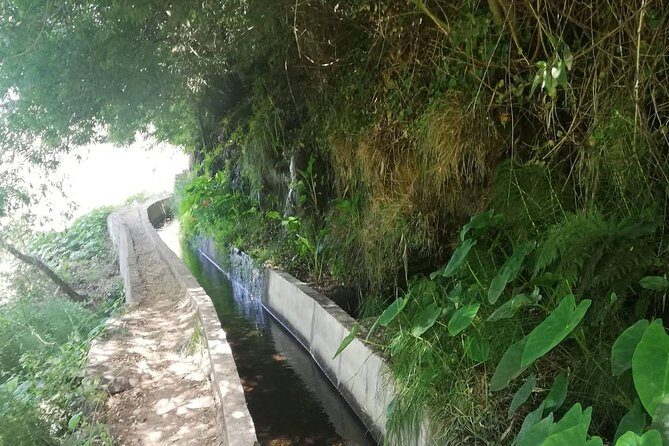 Levada Serra D´Agua - An In-Depth Look at the Levada Serra D’Agua Tour