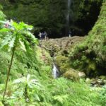 Levada Walk and Caldeirao Verde Waterfalls: Madeira - Transport and Timing