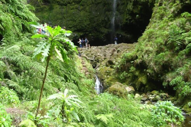Levada Walk and Caldeirao Verde Waterfalls: Madeira - Transport and Timing
