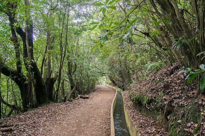Levada Walk from Ribeiro Frio to Portela - Practical Tips for Your Levada Walk