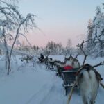 Levi: 3km Reindeer Sleigh Ride in the forest at night - The Logistics: What You Need to Know