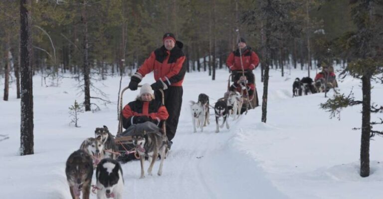 Levi: Evening Husky Sled Ride under the Northern Lights - What Makes This Tour Stand Out