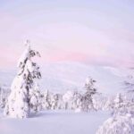 Levi: Explore the Wilderness - Itinerary Breakdown