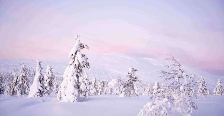 Levi: Explore the Wilderness - Itinerary Breakdown