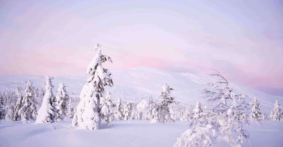 Levi: Explore the Wilderness - Itinerary Breakdown