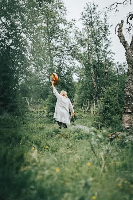 Levi: Guided Hike on the Shaman Päiviö Trail - What’s Included and What to Prepare