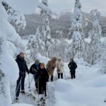 Levi: Lakeside forest snowshoeing - Who Will Love This Tour?